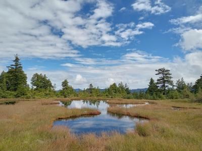 大阪からレンタカーで行く福島百名山ハント第2弾~はるかな尾瀬~