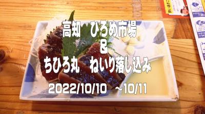 2022.10　高知ひろめ市場＆ちさと丸落し込み釣行