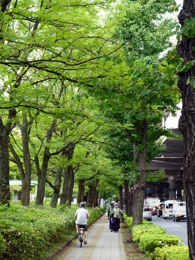 甲州街道を歩く（新宿～高井戸）