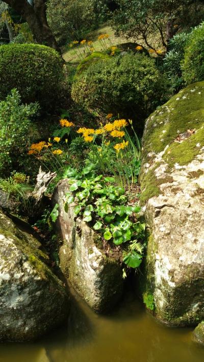 花の寺南原寺を彼岸に訪ねてみた。寺の境内は彼岸花が真っ盛り２