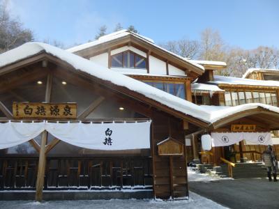 のんびり年越し温泉旅　５　雪の草津温泉、そして帰路