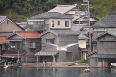 出雲から但馬への旅３（京都篇）