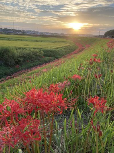 2023年　秋散歩　中山道