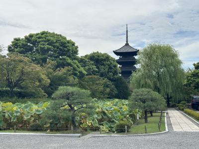 2023.9京都旅行　3日目　東寺　京都タワー