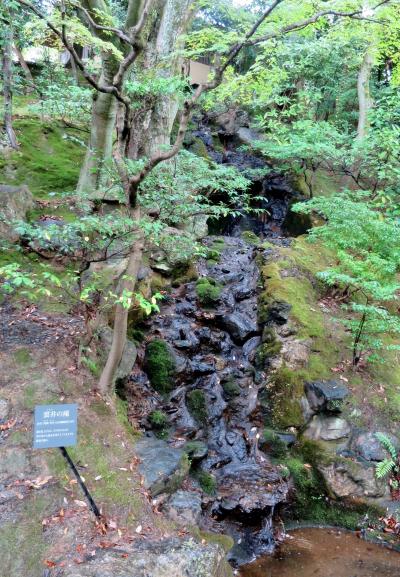 月一京都散歩（9月）ウェスティン都ホテル「葵殿庭園・佳水園庭園」～東寺「弘法市」