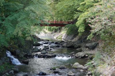 さわやかウォーキング 【修善寺】 JR東海