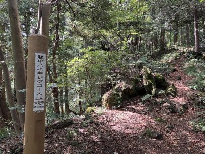 琴平丘陵ハイキングコース