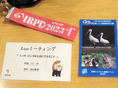 慰霊祭とZooミーティングの埼玉こども動物自然公園（後編）国際レッサーパンダデーにちなんで～北園でモルモット・乳牛のお帰りにプーズー赤ちゃん