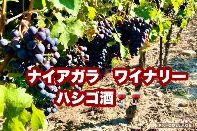 ナイアガラ　ワイナリー2ヶ所ではしご酒・美味しい食事にワイン、、お会計とチップにひっくり返った⁈