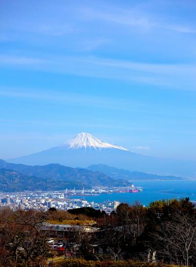 【東京近郊・日帰り旅　春の静岡　ひとり旅】弥生の風を感じに行く　登呂遺跡＆日本平の巻