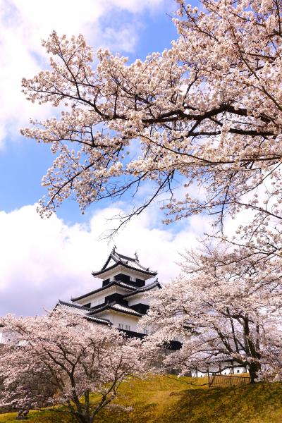 【東京近郊・日帰り旅　春の福島　ひとり旅】桜とお城と日帰り温泉の旅の巻