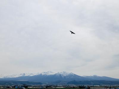 富良野日記2023　①　　4月　札幌からいよいよ富良野へドナドナ