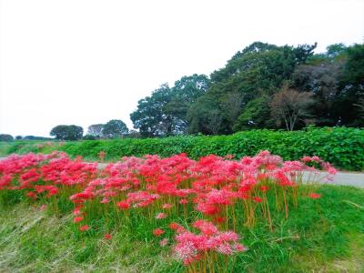 秋のお墓参り　～七ツ森古墳群・阿蘇神社・阿蘇坊中温泉夢の湯～