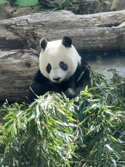 台湾好きのアラカン夫婦　10月の台北満喫　2日目②