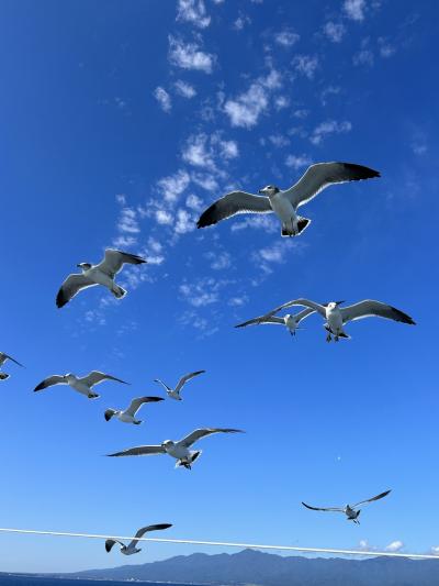 島旅佐渡　みなみ旅館　旅館入海　きらく　後編