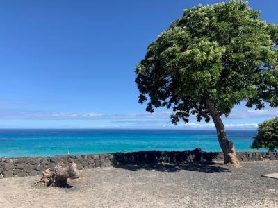 2023年8月 ハワイ３島(オアフ・マウイ・ハワイ）周遊旅行⑥ハワイ島Ⅰ