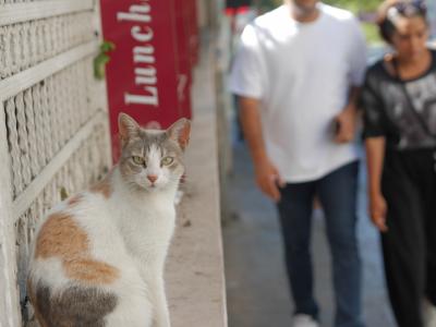 前立腺肥大のオジサンの旅（憧れのトルコ イスタンブール1日目）