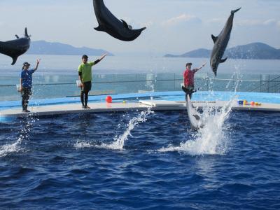 香川旅行　２（郷屋敷・四国水族館）