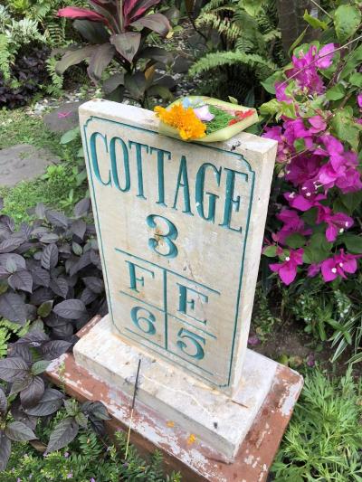 バリでバリバリだぜぇ★その2：2023年9月還暦の旅