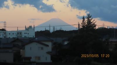 久し振りに見られた夕焼け富士
