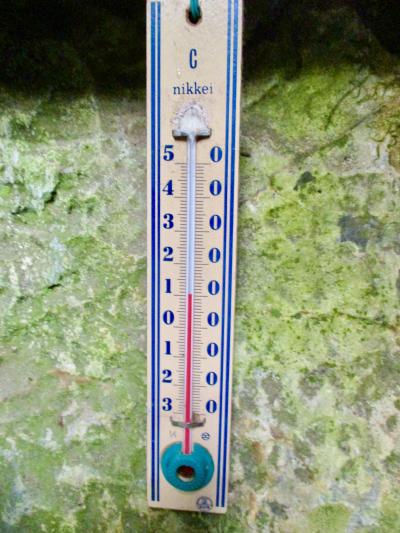 東京一涼しいところを求めて(日原鍾乳洞、鳩ノ巣渓谷)