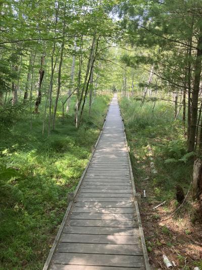 アケーディア国立公園への旅3 (Wild Gardens of Acadia、Bass harbor 灯台)