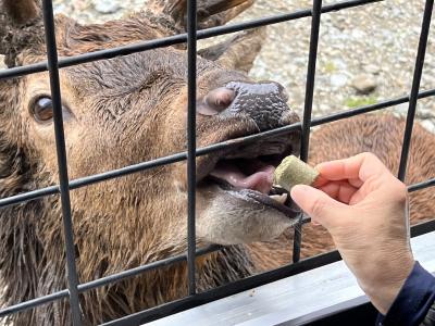 那須湯本温泉と那須高原2泊3日の旅