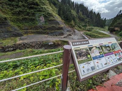 リニューアル後の福井恐竜博物館で発掘現場見学と発掘体験（野外恐竜博物館）、恐竜の皮膚の化石（レオナルド）