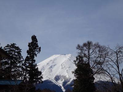 富士山を近くでみたいという母の希望で山梨へ