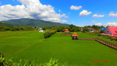 チェンマイ旅②ちょっと足を延ばしてワットドーイカム&優雅にタイ料理を楽しむ旅！