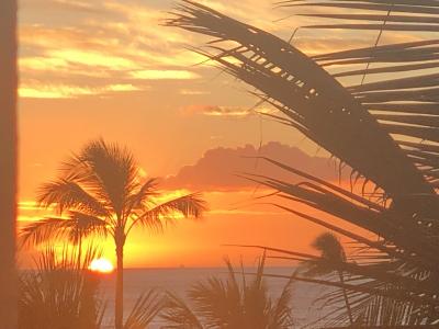 今年も行けたよハワイ!円安だけどなんとか工夫しよう♪