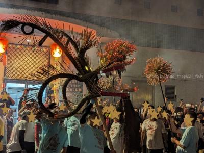 香港★4年ぶり!中秋節の大坑舞火龍を見に行く