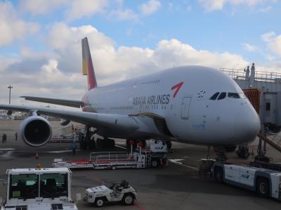 もうすぐ見納め？アシアナ航空A380ビジネスクラスでソウル！
