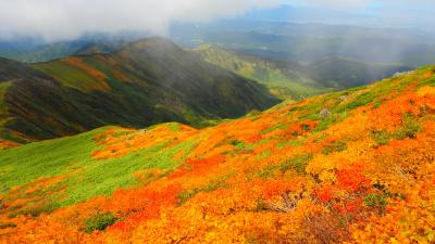 2023年 卯歳御縁年の月山へ紅葉ハント【夜行日帰り】