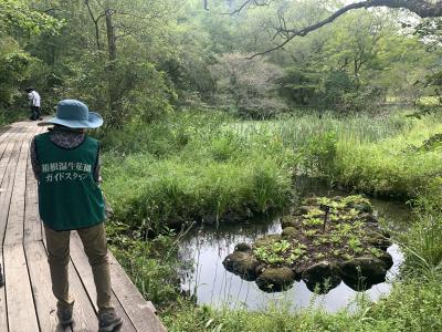 88歳の母を連れて箱根湿生花園へ。②ボランティアガイドさんの説明に聞き入る。。。