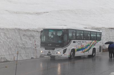 最後の雪の大谷