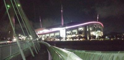 ラグビーワールドカップ パブリックビューイング