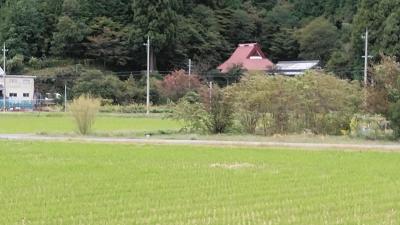 アイラブ仏像めぐり　湖北　石道寺、黒田観音寺、西野薬師堂(充満寺)、正妙寺、高月観音堂、渡岸寺