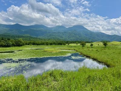 エゾヒグマの真実を探れ！北海道キャンピングカー旅行（1年ぶり2回目）その9