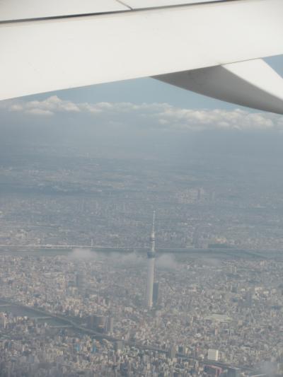 考え方によっては 超お得な【東京上空】散歩