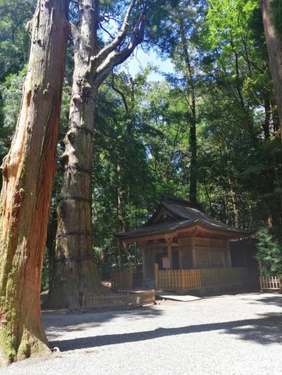 夫婦旅　JALミステリーツアー　熊本と宮崎高千穂の旅　③ 高千穂神社