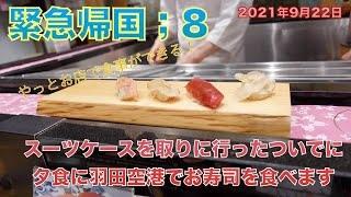 緊急帰国8 ;スーツケースを取りに行ったついでに夕食に羽田空港でお寿司を食べます