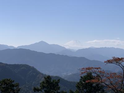 コロナ禍で初の高尾山