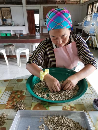 2023年9月　摩訶不思議姉妹・北タイ旅 14(チェンライ・暁の家)