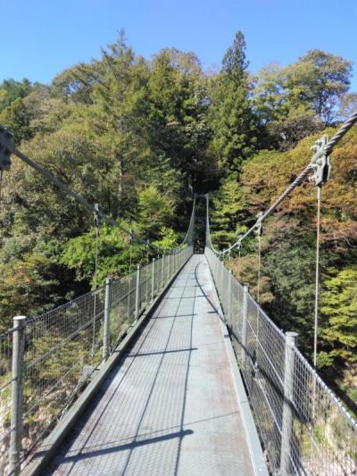 天竜峡吊り橋と早朝散歩