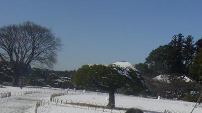 【2004.12 水戸】~偕楽園/千波湖/茨城県庁~