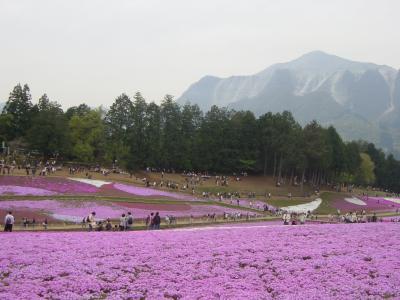 【2006.4 秩父･嵐山･長瀞】千年の苑ラベンダー園/長瀞ライン下り