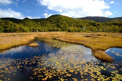 紅葉が遅い年　群馬/高崎から栃木/日光へ