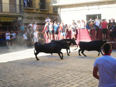 スペイン巡礼　フランス人の道780キロの旅　2023⑨