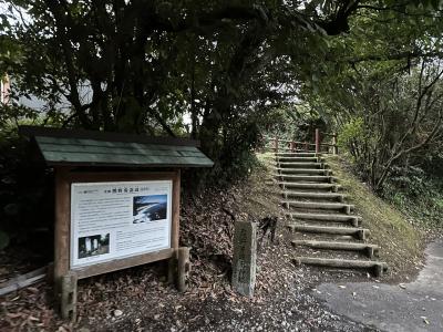 7日目壱 熊野参詣道(高野坂)～勝浦漁港にぎわい市場～仲氷店